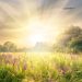 istock-926681406-75x75.jpg